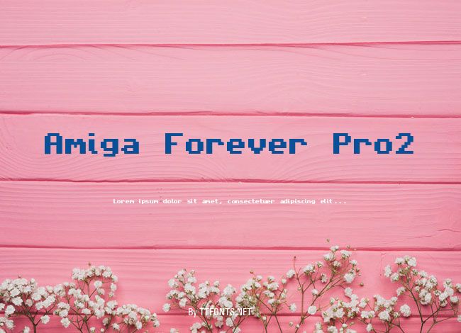 Amiga Forever Pro2 example